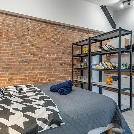 Apartment Koscielna Loft Rybnik (Silesia)