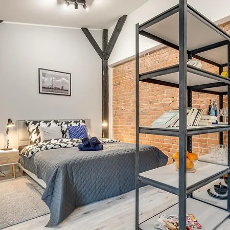 Koscielna Loft Apartment Rybnik (Silesia)