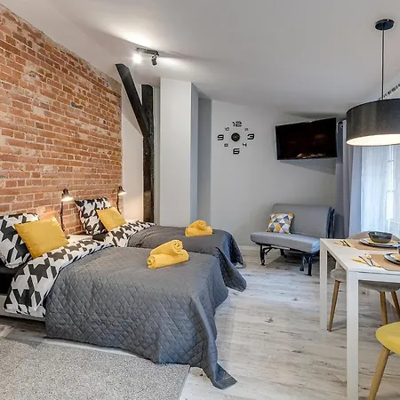 Koscielna Loft Apartment *