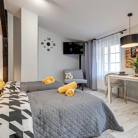 Apartment Koscielna Loft *