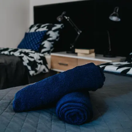 Koscielna Loft Apartment *