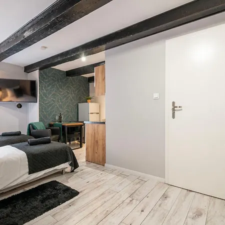 Lägenhet Koscielna Loft